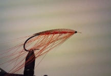The Red King, Atlantic Salmon Fly - Fly Tying - Fly dreamers