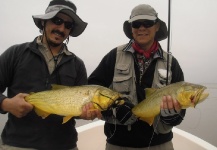  Golden dorado – Situación de Pesca con Mosca – Por Segundo Beccar Varela