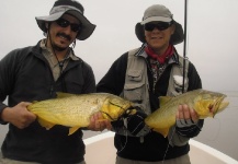 Golden Dorado Fly-fishing Situation – Segundo Beccar Varela shared this Photo in Fly dreamers 