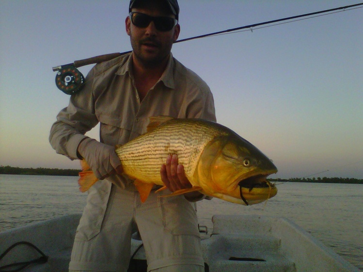 Dorado Capturado por Sebastian, cliente de Piracua Lodge, Puerto Piracua - Florencia - Santa Fe.-