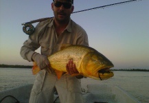 Fly-fishing Situation of Golden Dorado shared by Marcelo Rouvier 