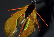  Mira esta fotografía de atado para Trucha de arroyo o fontinalis de Martin Ferreyra Gonzalez – Fly dreamers