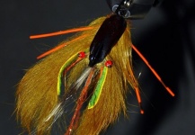 Fly for Brook trout - Photo by Martin Ferreyra Gonzalez – Fly dreamers 