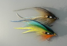 Colorful Streamers - Fly Tying - Fly dreamers