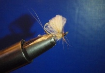 CDC Dry Fly in White - Fly Tying - Fly dreamers
