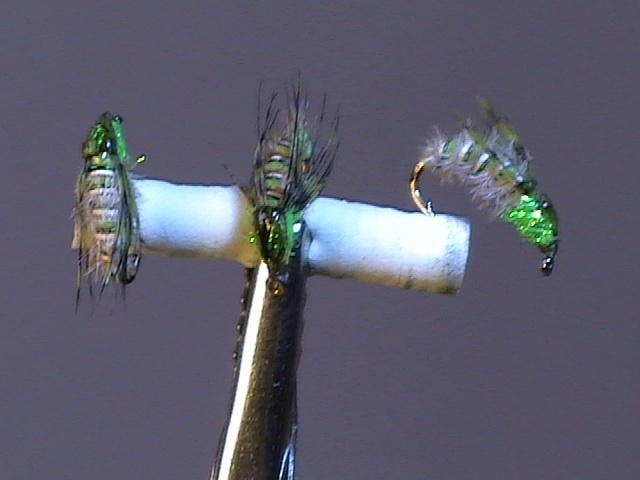 Caddis Pupas (Estilo Davie Mc phial)