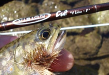 Michael Wencel 's Good Fly-fishing Photo – Fly dreamers 