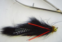 Big Black Leech Streamer with Rubber Legs - Fly dreamers