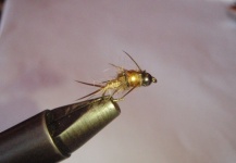 Biot Nymph for Trout - Fly Tying - Fly dreamers