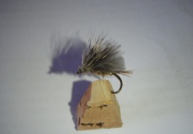 CDC Dry Fly for Brown Trout - Fly Tying - Fly dreamers