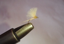 Cream CDC Emerger - Fly Tying - Fly dreamers