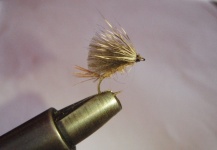 Dry Fly with Cul de Canard - Fly Tying - Fly dreamers