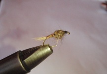 Hare's Ear Variant Nymph - Fly Tying - Fly dreamers