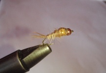 Nymph for Brown Trout Fishing in France - Fly dreamers