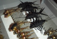 Nymph Patterns for France - Fly Tying - Fly dreamers