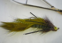 Olive Streamer for Brown Trout - Fly Tying - Fly dreamers