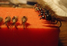 Some Nymphs for Fly-Fishing in France - Fly dreamers