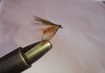Wet Fly for European Grayling and Trout - Fly dreamers