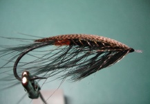 A. E. Knox Spey Fly - Atado de Moscas - Fly dreamers