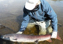 Alejandro Bianchetti 's Fly-fishing Pic of a Taimen – Fly dreamers 