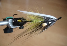 Atlantic Salmon Fly tied by Remigijus Cephalus - Fly dreamers