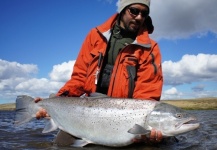 Fly-fishing Image of Brown trout shared by Alejandro Bianchetti – Fly dreamers