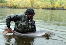 Fly-fishing Photo of Taimen shared by Alejandro Bianchetti – Fly dreamers 