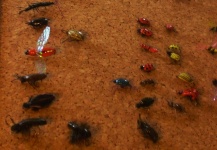 My flies mixed 2011