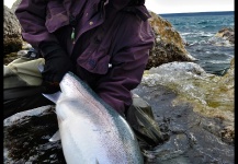  Fotografía de Pesca con Mosca de Trucha arcoiris por Karim Jodor – Fly dreamers