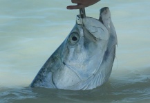 2011 Fishing Highlights