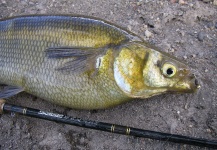  Fotografía de Pesca con Mosca de Pejerrey por Rio Dorado Lodge – Fly dreamers 