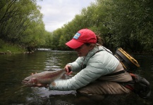 Fly-fishing Image of Rainbow trout shared by Whitney McDowell – Fly dreamers