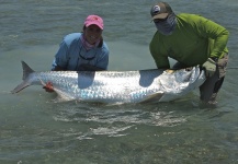 Whitney McDowell 's Fly-fishing Image of a Tarpon – Fly dreamers 