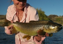 Whitney McDowell 's Fly-fishing Photo of a Brown trout – Fly dreamers 