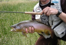 Mariano Ferrara 's Fly-fishing Pic of a Brown trout – Fly dreamers 