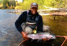 Fly-fishing Picture of Steelhead shared by Dave Henry – Fly dreamers