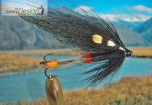 Beiss Black - Mosca Tubo para Salmón - Fly dreamers