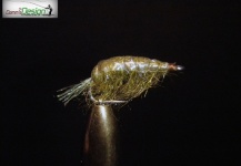 Mosca para Seatrout: Tangloppe Olive - Fly dreamers