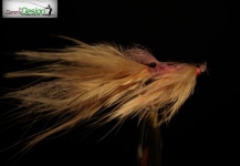 Streamer para Sea-Trout: Variant - Fly dreamers