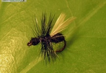 Black Flying Ant size 14 - Dry Flies - Fly dreamers