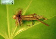 Dry Fly: Logue Foam Brown size 12 - Fly Tying - Fly dreamers