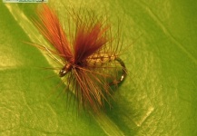 Dry Fly: Nalle Puh size 14 - Fly Tying - Fly dreamers