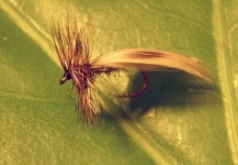 Fly-tying for Grayling - Photo by Kennet Petersen – Fly dreamers 