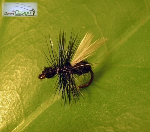 Black Flying Ant size 14