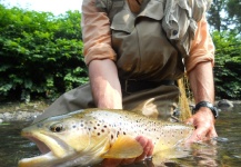 Cool Fly-fishing Picture shared by Jim Misiura – Fly dreamers