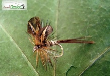 Kennet Petersen 's Fly-tying for Lady of the stream - Pic – Fly dreamers 