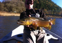 Rich Strolis 's Fly-fishing Pic of a Brown trout – Fly dreamers 