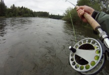  Fotografía de Pesca con Mosca de Steelhead por Jeff Layton – Fly dreamers 