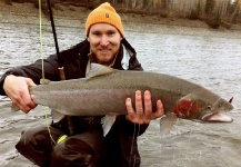 Fly-fishing Photo of Steelhead shared by Andrew Hardingham – Fly dreamers 