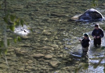 Fly-fishing Situation of Steelhead - Image shared by Andrew Hardingham – Fly dreamers